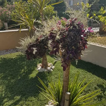 Tao's Apartman Biograd na Moru