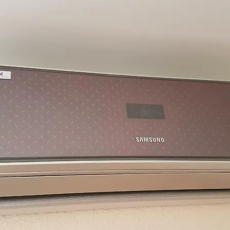 Tao's *